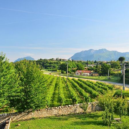 Agriturismo Borgo Floreani Vendoglio 外观 照片